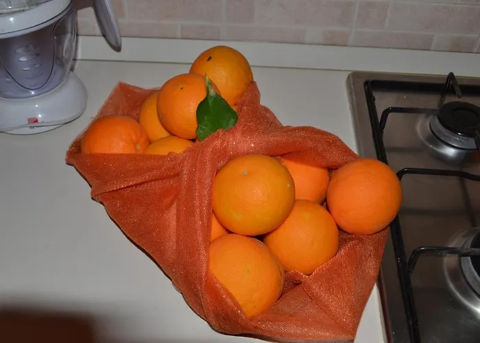 度假居 Alina 卡坦扎罗